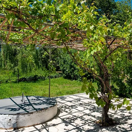 House Villa